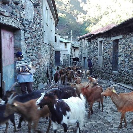 Casa Bernaldo Διαμέρισμα Covas do Monte Εξωτερικό φωτογραφία