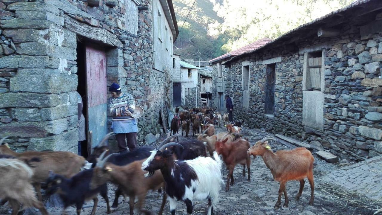 Casa Bernaldo Διαμέρισμα Covas do Monte Εξωτερικό φωτογραφία