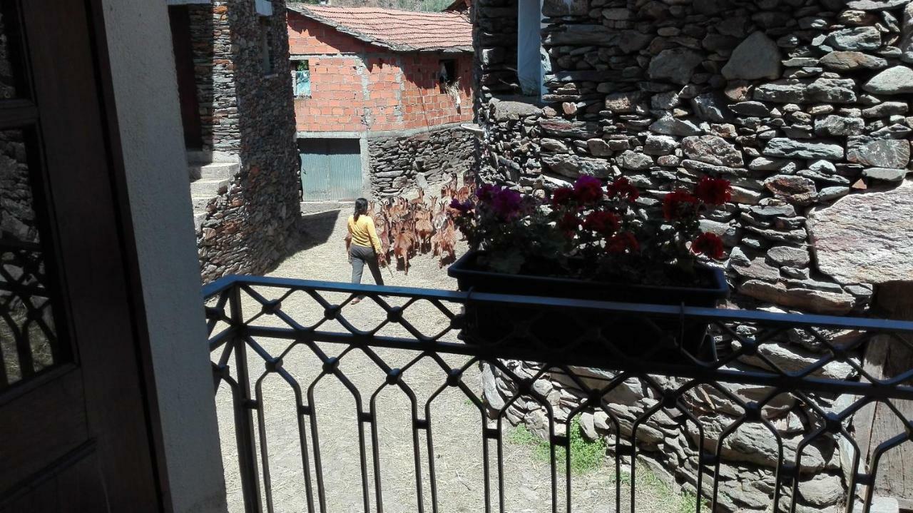 Casa Bernaldo Διαμέρισμα Covas do Monte Εξωτερικό φωτογραφία