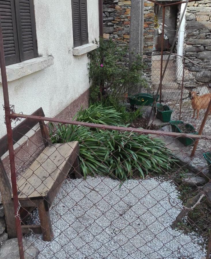 Casa Bernaldo Διαμέρισμα Covas do Monte Εξωτερικό φωτογραφία